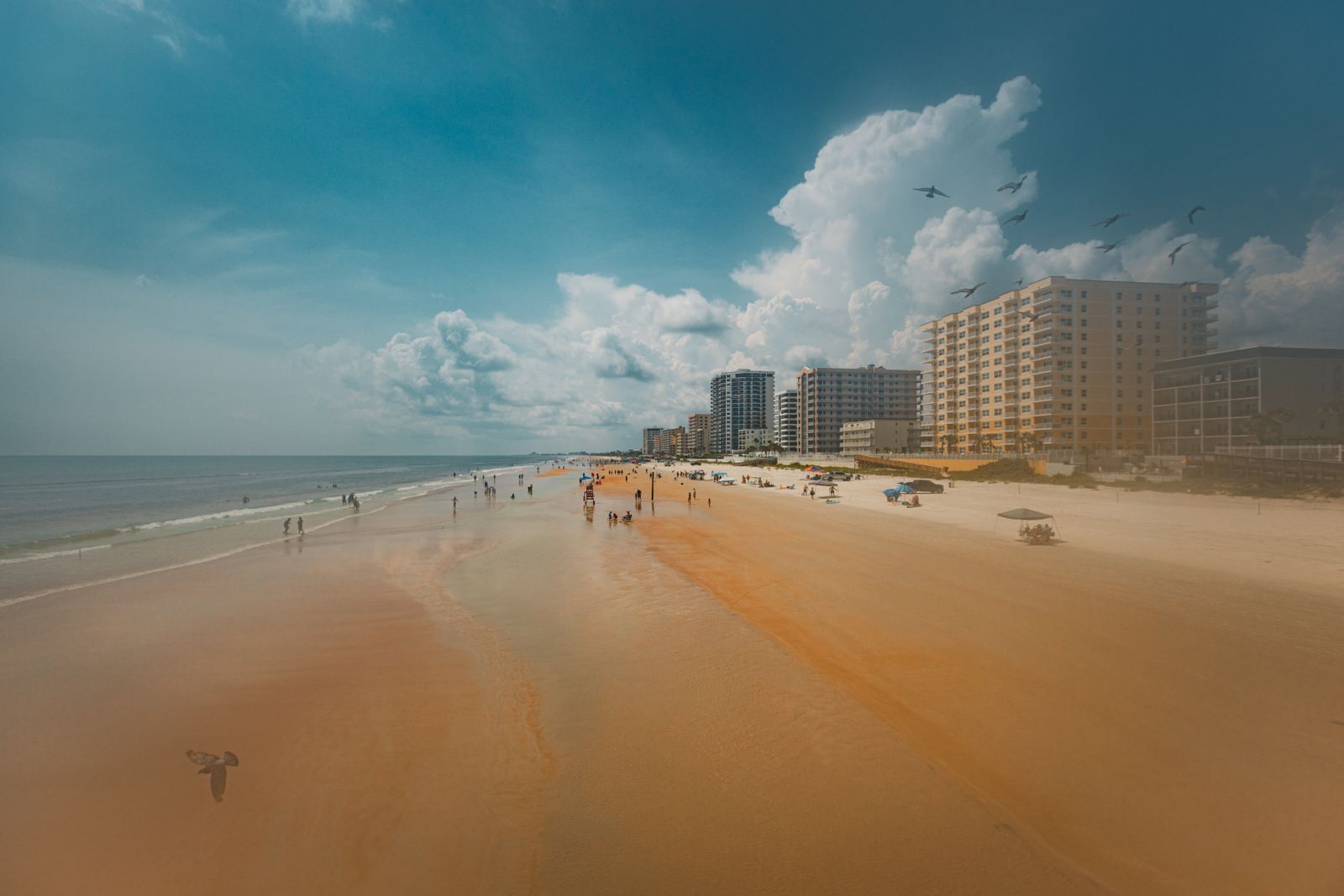 Aerial view of Daytona Beach, FL coastline