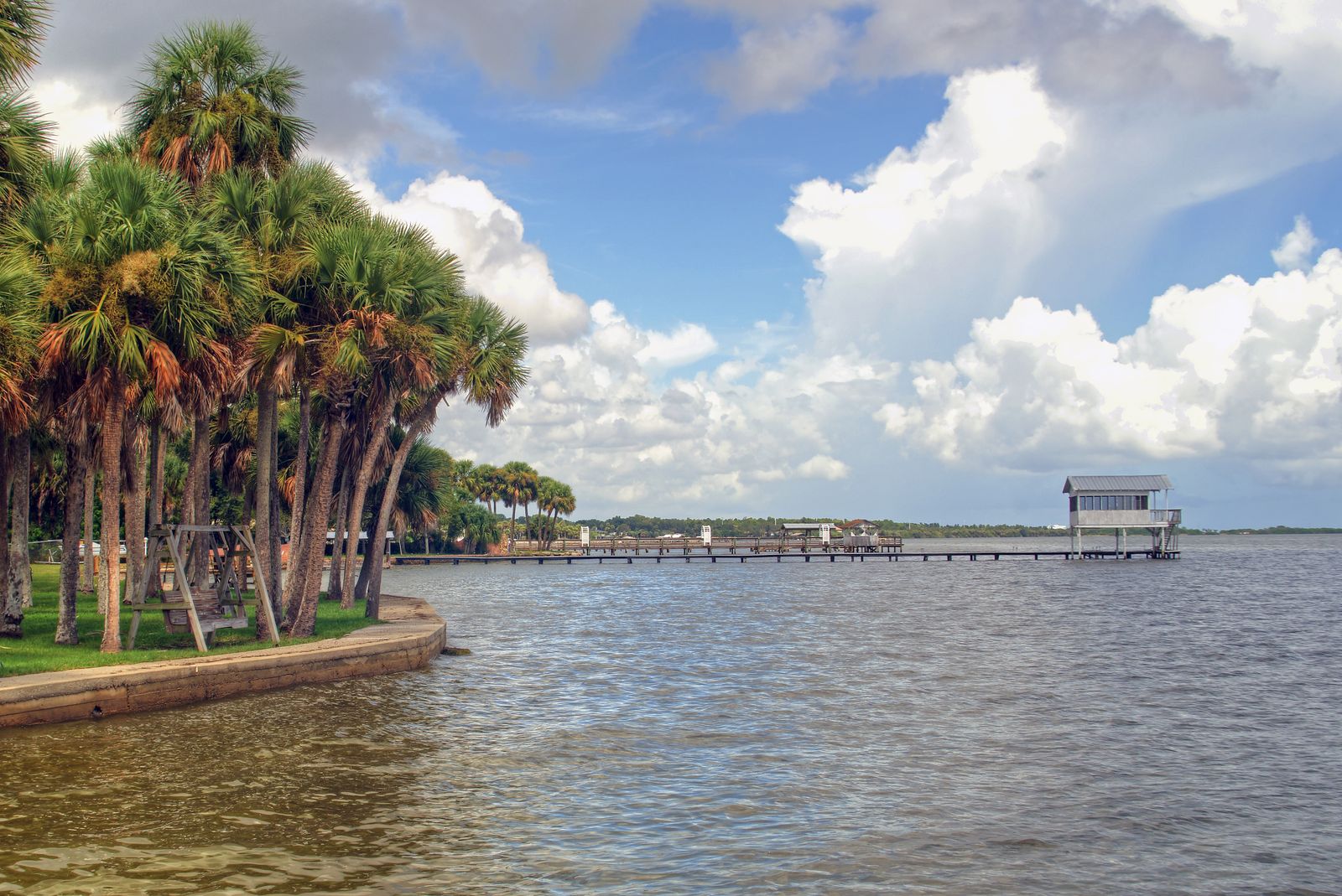 Florida lagoon with palm trees near The Hammocks