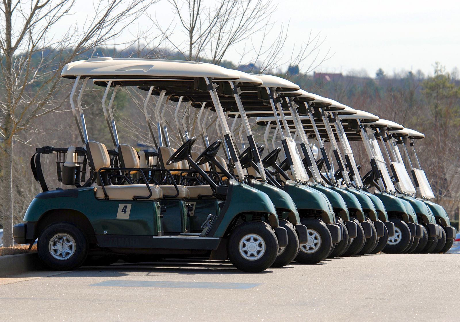 Golf cart rental available in Ormond Beach, FL