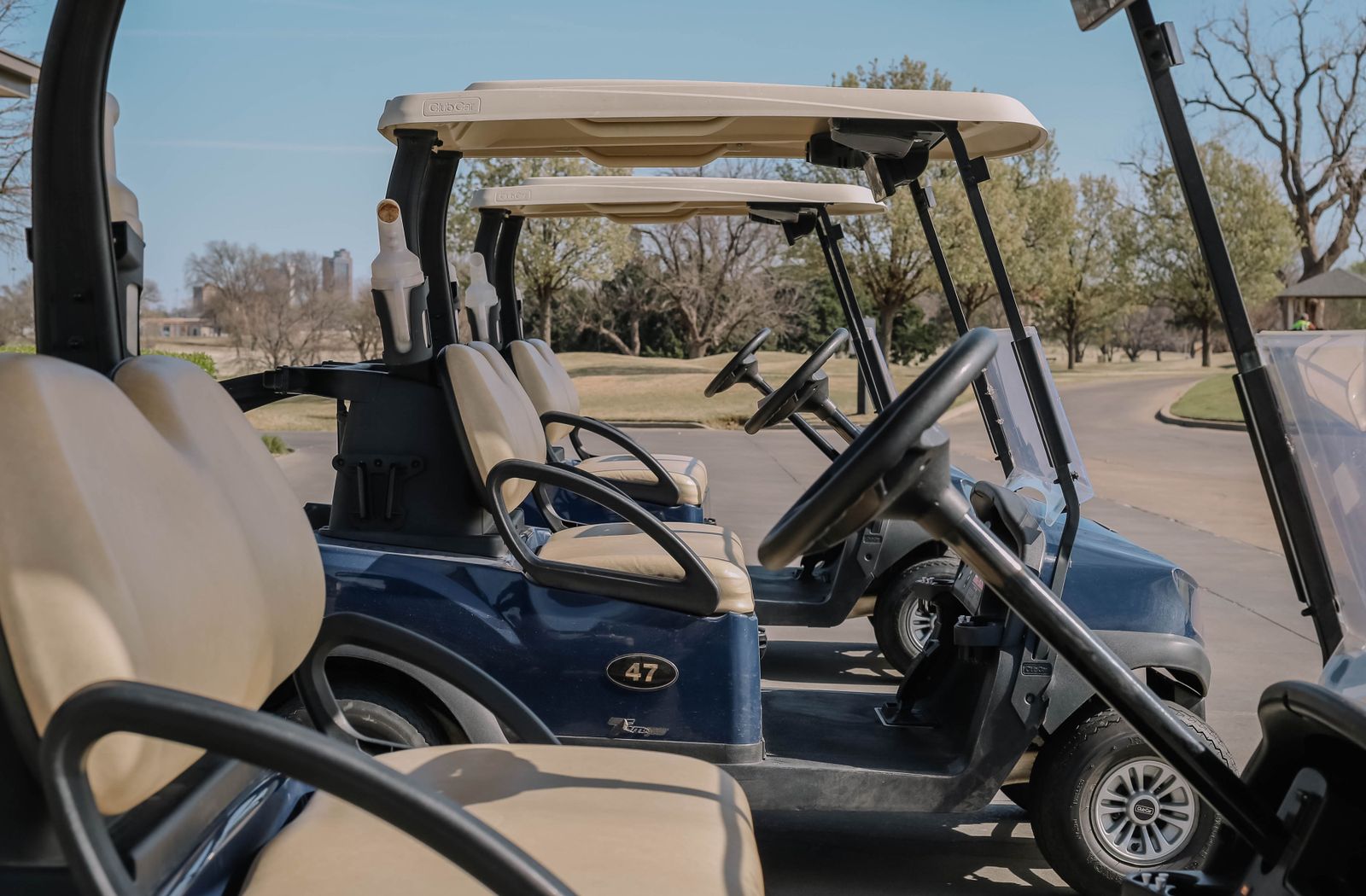 Golf carts available for rental in Volusia and Flagler Counties, FL