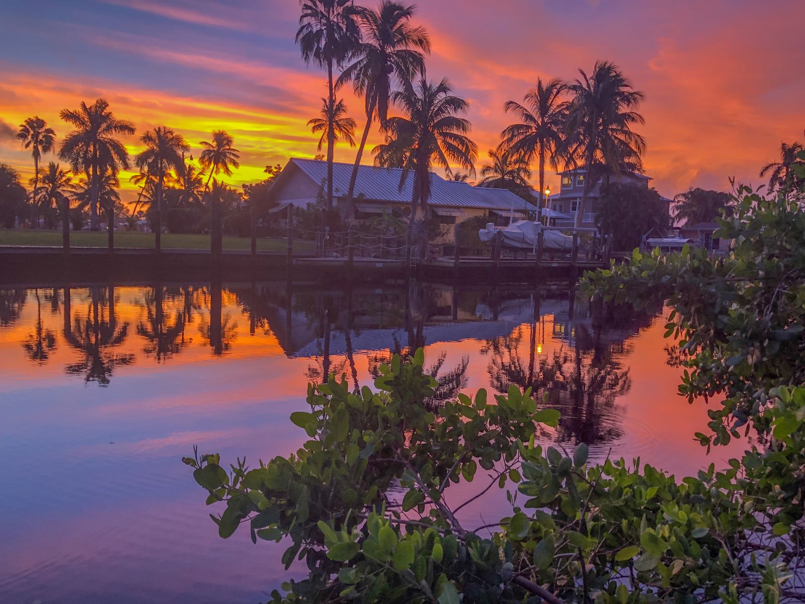 Palm trees reflecting on a Palm Coast, FL waterway at dawn