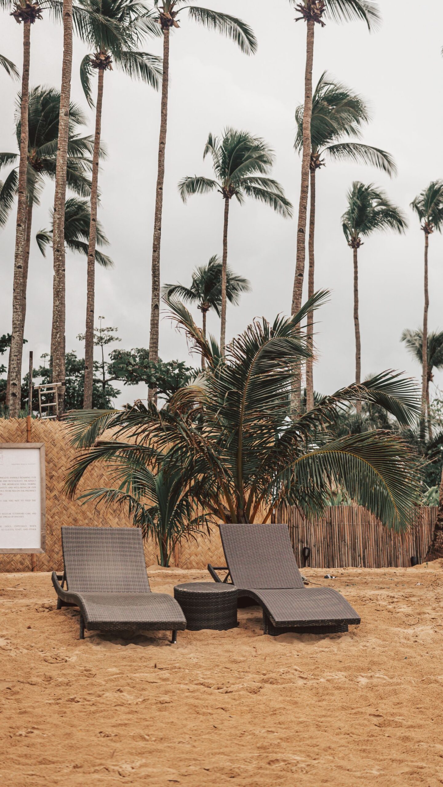 Tropical beach loungers, reflecting the Latitude Margaritaville lifestyle